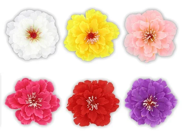 Hawaii Haarblume Haarblüte Honululu alle Farben
