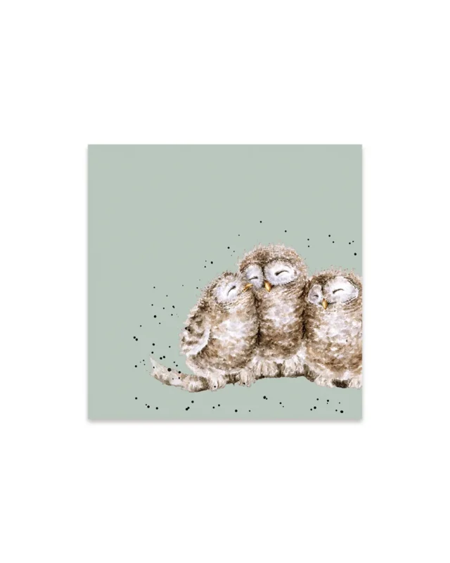 Die Eulen Cocktailservietten „Owl Together“ von Wrendale Designs zeigen drei aneinandergeschmiegte Eulen auf einem salbeigrünen Hintergrund in einer zarten Aquarellillustration.