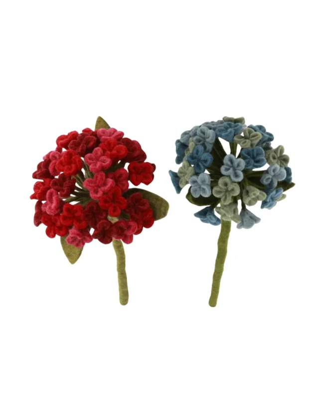 Rote und blaue Filzblumen-Hortensie mit grünen Blättern und Stiel auf hellem Hintergrund