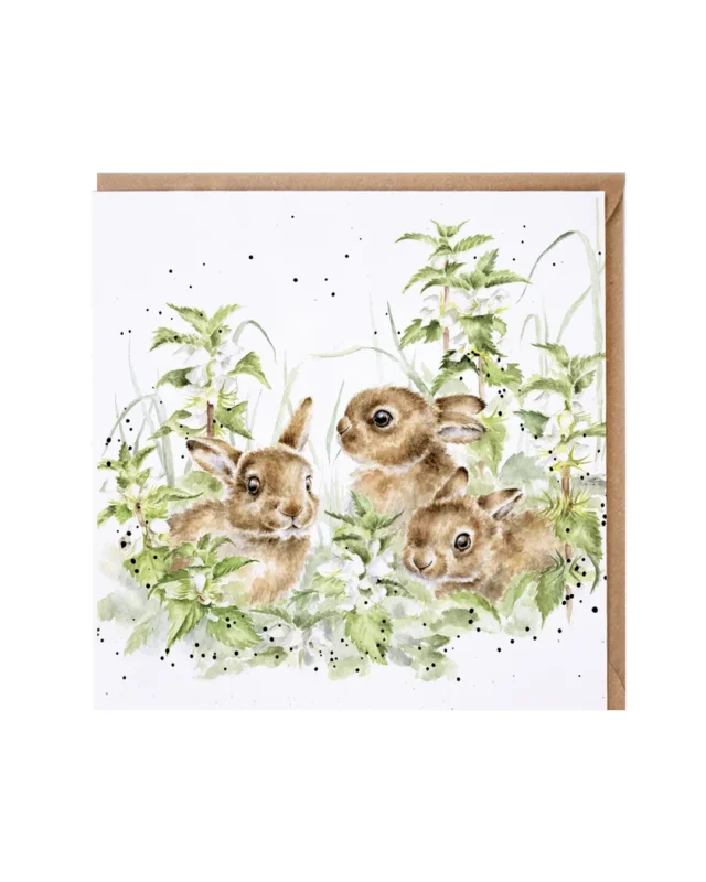 Häschen Grußkarte "Spring Hares" von Wrendale Designs illustriert von Hannah Dale. Drei kleine Häschen sitzen zwischen weiß blühenden Taubnesseln auf einer grünen Wildblumenwiese.