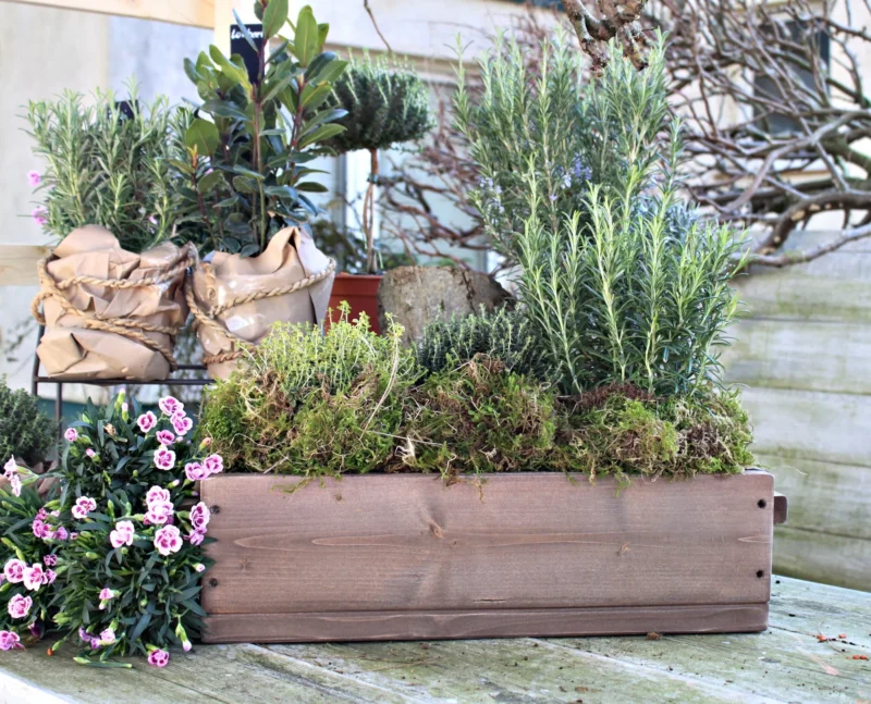 Blumenkasten " Das Original von Dekorie " aus Holz mit Holz Griffen 30 - 90 cm breit / 19,5 cm tief / in braun