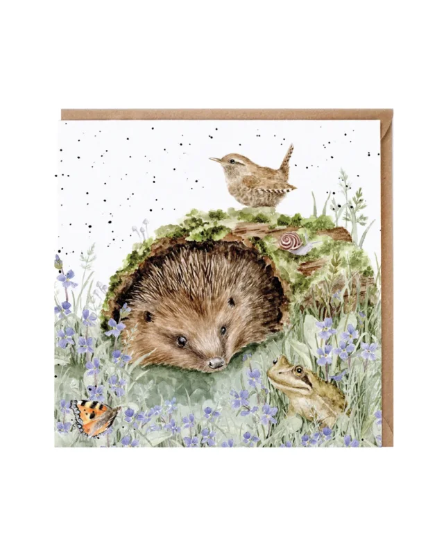 Igel Grusskarte "The Wild Patch" von Wrendale Designs vor weißen Hintergrund. Das Motiv zeigt einen Igel auf einer Wiese welcher von einem kleinen Vogel, einem Frosch, Einem Schmetterling und einer Schnecke umgeben ist. Auf der Wiese sind Blumen, Moos und andere Pflanzen erkennbar.