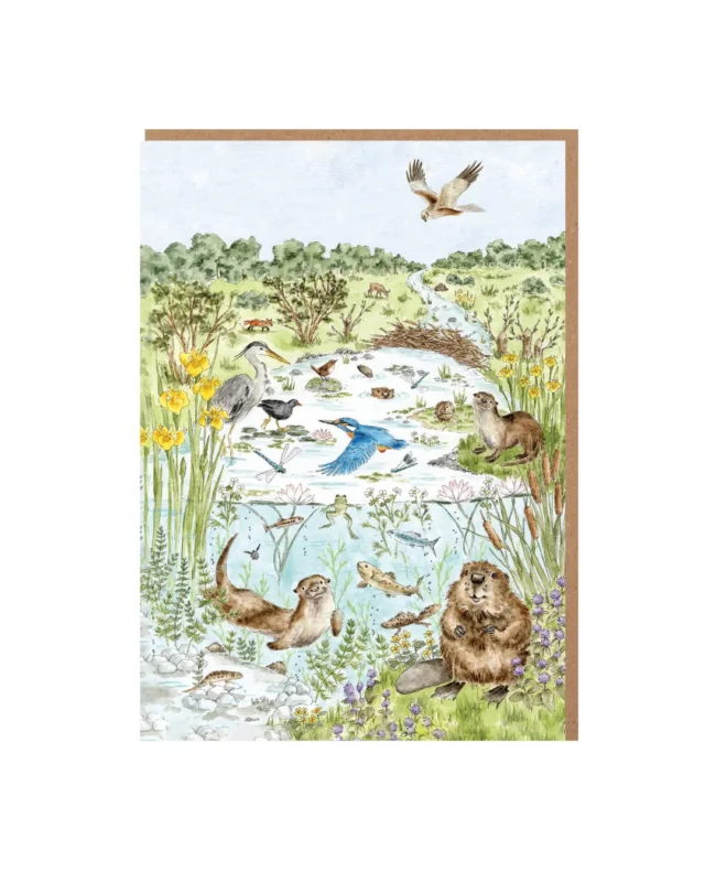 Nature Grußkarten-Set "Riverbank" von Wrendale Designs