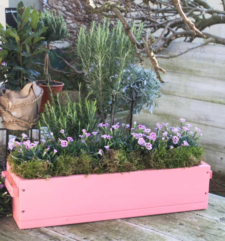 Blumenkasten " Das Original von Dekorie " aus Holz mit Holz Griffen 30 - 90 cm breit / 19,5 cm tief / in pink